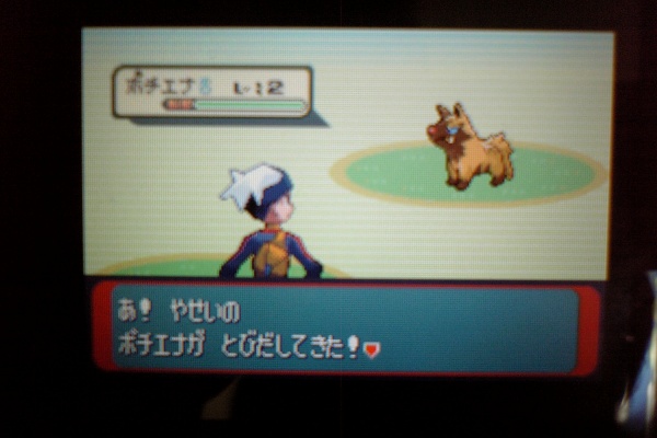 ガジュと仲間たち 色違い 2