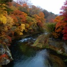 塩原紅葉2025（塩湧橋から）
