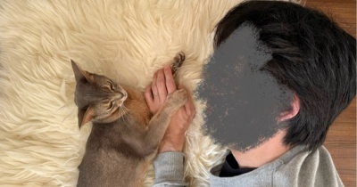 わか坊とお昼寝