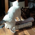 moroのハンドメイド