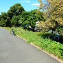 名所漂泊　皀莢堰、さいかち堰上流沼