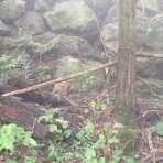 ど田舎トレード日記