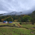 コーチングサプリの気分走快日記