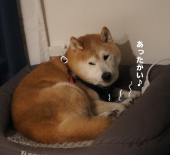 冷えてきました〜！