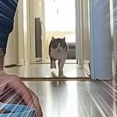 彼女はとても食いしん坊だった。ゴハンにずさささぁ～！ → そのままこうします…