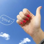 四つ葉のくまさんの癒しのお花、時々お料理日記