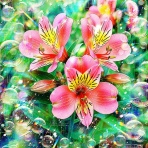 戒's gallery (GalleryGai)