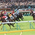 第１回・元プロ競馬予想屋と行く東京競馬場ツアー