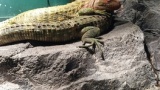 水族館来たんやけど（※画像あり）