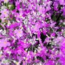 明日は上野ネタバレ禁止大会