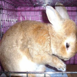 なんだ、おまえ。