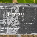 現在の状況260903
