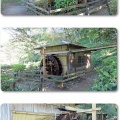 薬師池公園
