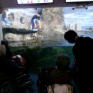 新江ノ島水族館外出レク🐟