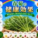# 「食べる安定剤」春菊の驚異的な健康効果とプロの活用術