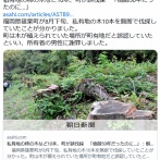 【福岡】私有地の柿の木など10本、町が誤伐採　「収穫を楽しみにしていた。両親が植えた樹齢50年超の大切な木…」　篠栗町