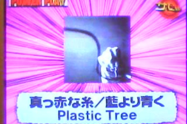 A Trip To Look For Oneself Plastic Tree