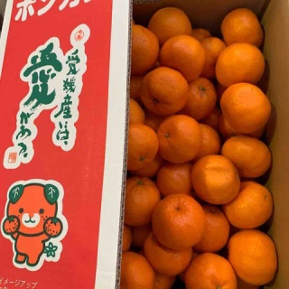 志津駅前　八百屋さん