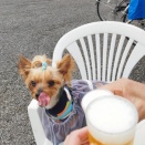 御宿＆勝浦旅行へ行く🌊  よしき坊ラーメン ねぶり＆サンダンスリゾートホテル施設編