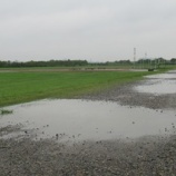 『冷たい小雨が降り続いています』の画像