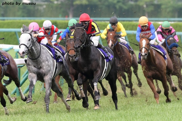 もしカメ ナオキ ｎｏ ぼちぼち 撮影日記 フェノーメノ