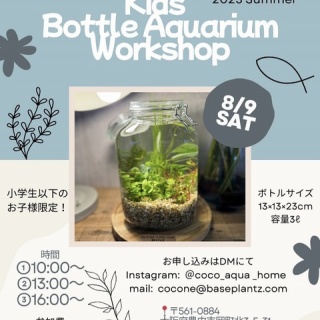 SONOアクアプランツファーム水草･海藻情報局