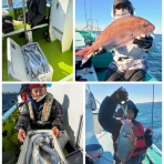 新安浦港・長谷川丸釣果