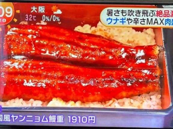 【画像】フジテレビ「韓国風ヤンニョム鰻重」
