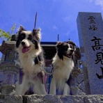 ひろいびと 清掃登山犬達と三重県の山ゴミ拾い清掃活動記録