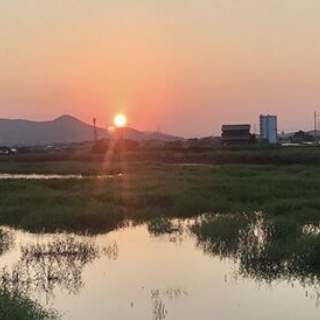 masaの介護福祉情報裏板