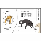 『のほほん愛媛旅⑤』の画像