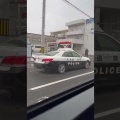北海道警察24時#警察 #緊急車両 #事件#news
