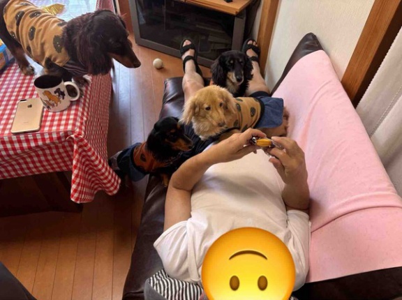 明日はお出かけするぞ。
