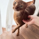 クネクネ甘えん坊ひめちゃん