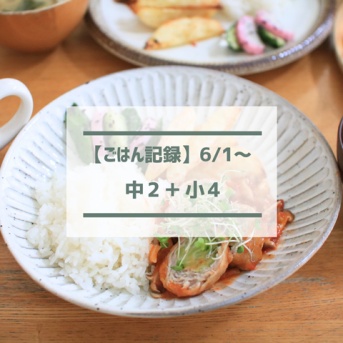 あなたはどっち派ですか？【ごはん記録6/1～】