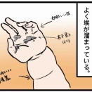 ホコリ