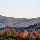 394 そうよ私はポンコツな女〜