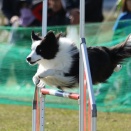 予約投稿　５８