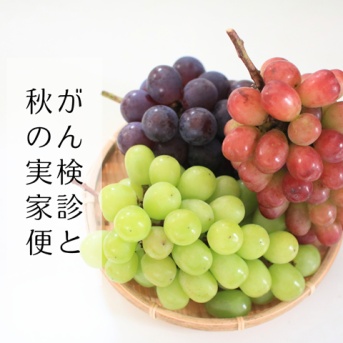 がん検診(肺とマンモ)の結果を聞きに行ってきた＆秋の実家便