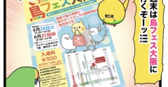 鳥フェス大阪 いくぞ〜〜‼️‼️‼️2026