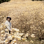 空の下の路から　〜from the trek under the sky〜