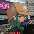 【開店情報】おさかな天国の予感とドンキのついでの調査依頼報告【リクエスト】