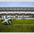 【サッカー】日本46年W杯招致へ!　東アジア＆ASEAN連盟タッグで開催目指す　共催候補国は韓国、中国、インドネシア、タイ、豪州など