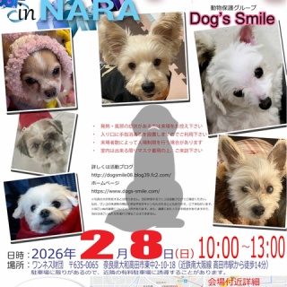 保護犬 ～預かり日記～