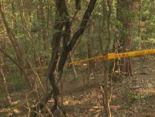 【速報】埼玉・飯能市阿須の山中で90代女性遺体　ベトナム国籍の男逮捕、殺人・死体遺棄、窃盗で捜査