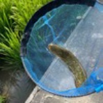 カミナリボーイの冒険♂