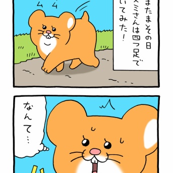 スキネズミ「歩き方」
