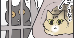 アヤちゃんとマロちゃんの初対面