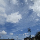 『スイカ割り大会！！』の画像