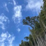 本当の自分の芽を育てる